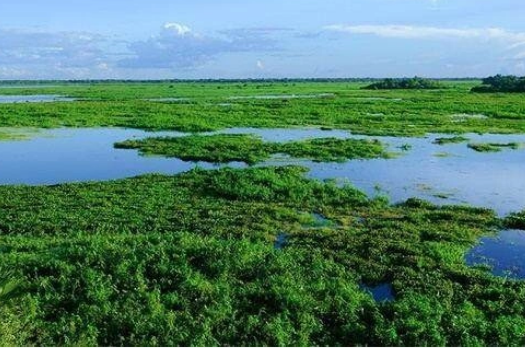  最大的湿地在什么地方？一共有多少面积？