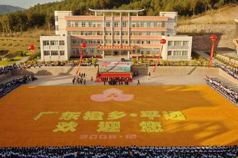 世界上最大的水果拼图有多大？由多少水果组成？
