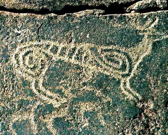 世界上最早发现和收集最多远古石中自然造型艺术画的人是谁？