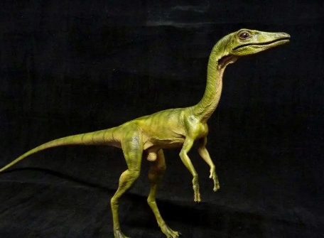  最小的恐龙是什么？体积是多少？