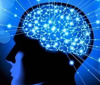 拥有世界上最轻的人脑的人是谁？她的大脑有多重？