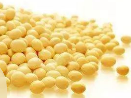   含植物蛋白质最多的农作物是什么？是什么生活习性？