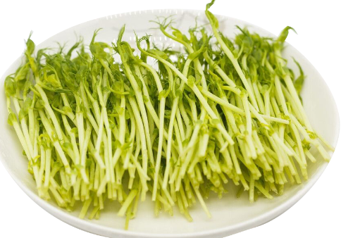  最古老的农作物是什么？是什么起源？