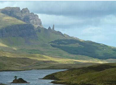 最老最大的栗树是什么？树龄有多少年了?