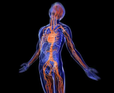 人体面积最大的器官是皮肤吗？面积是多少？