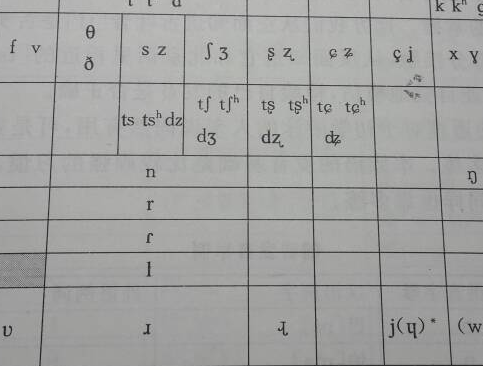 辅音数量最多的语言是什么？有什么特点存在？