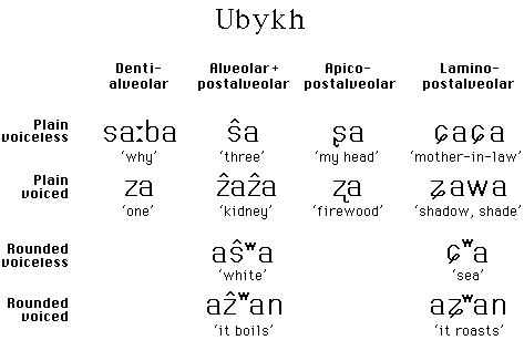 元音数量最少的语言有多少？语言名字是什么？