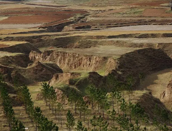 世界最大的黄土地貌是哪里？是中国黄土高原