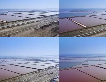 中国最大的盐场长芦盐场是什么样的？历史追溯到什么时期？