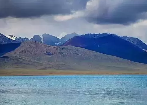 世界樟脑产量最高的地区在什么地方？产量有多高？