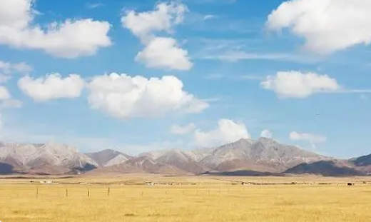 中国黄土分布最广的高原是什么？分布率是多少？