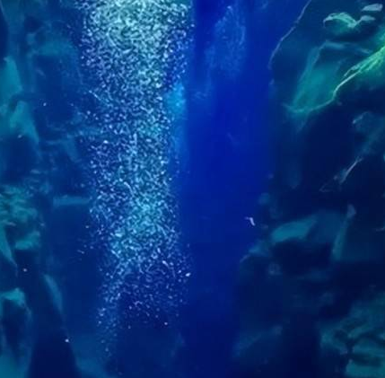 世界最深的海沟在什么地方？最大深度有多深？