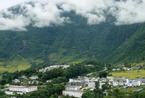 中国最北的热带雨林指的是什么？在什么地方？