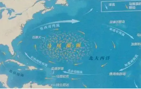 世界透明度最大的海是什么？目视深度有多少?