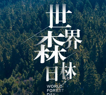 世界林业节是每年3月21日吗？有何目的？