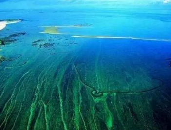 透明度最大的海是马尾藻海吗？透明度可达72米