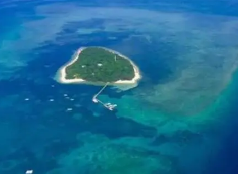 世界最大的海是什么？在什么地方？