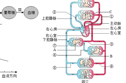 世界上最小的“化工厂”是什么？又是怎么运作的？