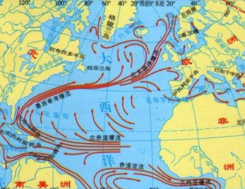 最大的暖流是什么？是不是墨西哥暖流？