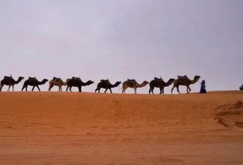 世界上阳光最充足的地方是哪里？地理位置怎么样？