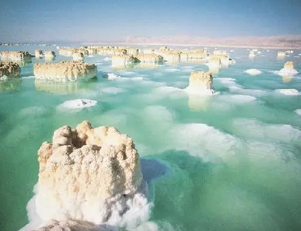 世界陆地表面的最低点在什么地方？总面积有多大？