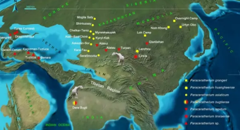 世界陆地面积最大的洲是什么?有什么地理特征？