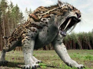 十大巨型古生物和灭绝动物是哪些？有何特点？