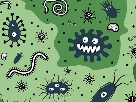 帮助人类的十种寄生虫、病毒、细菌，它们是如何帮助人类的？