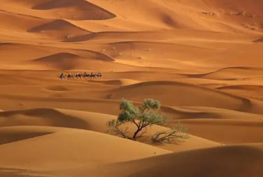  世界十大奇特的自然景观是什么样的?都有哪些？