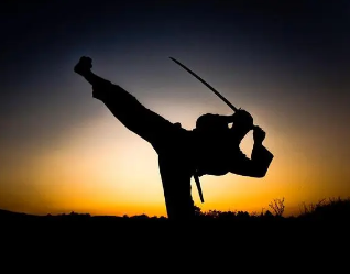 全球最强武术格斗家是谁？有多厉害？