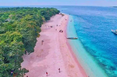 世界上的粉红色沙滩有哪些？分别在哪？